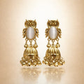 Premium Owl Design Gold Plated Jhumka Earrings for Women | Korean Style Party Wear Earrings